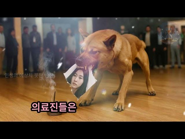개가 제삿상을 넘어뜨리고 영정 사진을 물어뜯었다… 그리고 죽은 이가 메시지를 전했다!