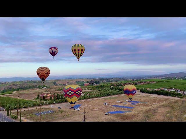 Temecula Hot Air Balloon Ride | Best Sunrise View | June 07 2020