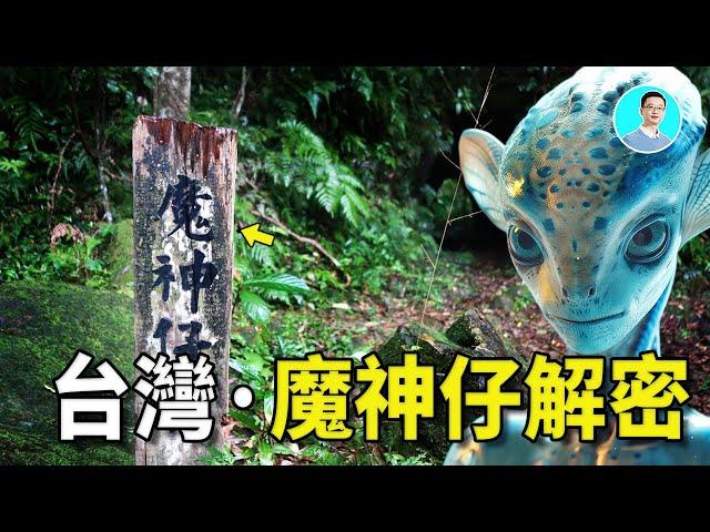 The Mosina Hidden in Taiwan's Deep Mountains! Are They an Ancient Wise Race, Dragon Clan, or Aliens?