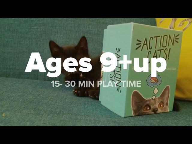 Play Action Cats!