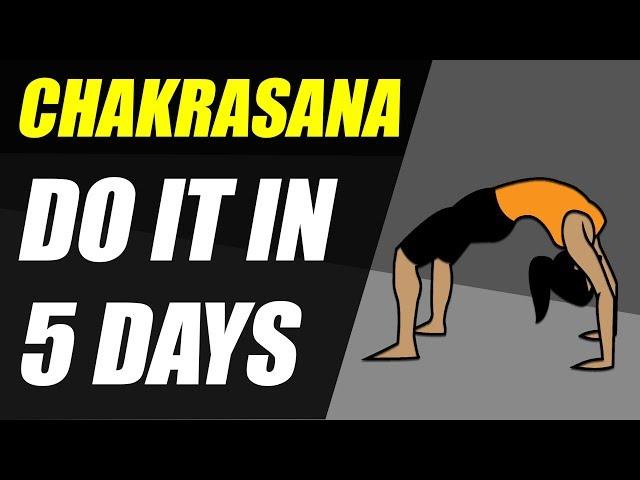 How to do Chakrasana perfectly in 5 days | Easy and Effective method