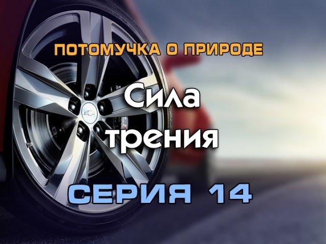 Потомучка о природе 14. Сила трения