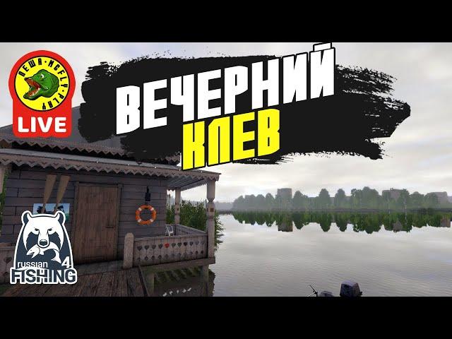 Вечерний Клев (Стрим - Русская рыбалка 4)