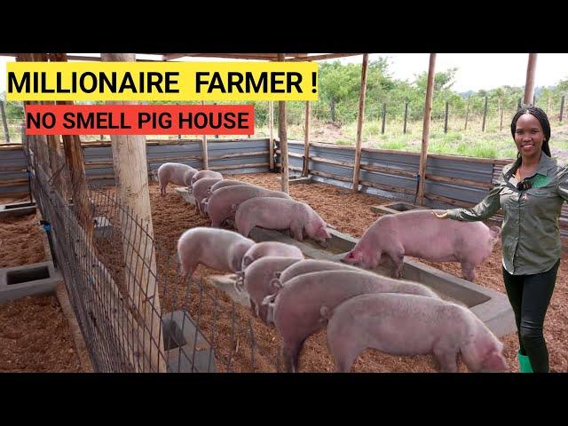 How To Make Millions In A Simple PIG Farm Business! | 2024 Farm Routine