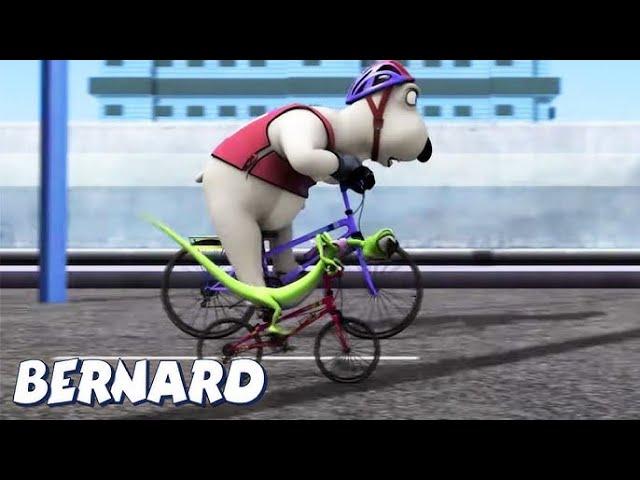 Can Bernard Ride a Bike?  | Full Episodes | VIDEOS and CARTOONS FOR KIDS