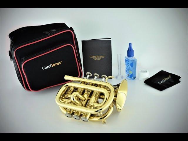 Carol Brass cpt-1000 Bb Mini Pocket Trumpet Unboxing (캐롤브라스 미니 포켓트럼펫 언박싱)