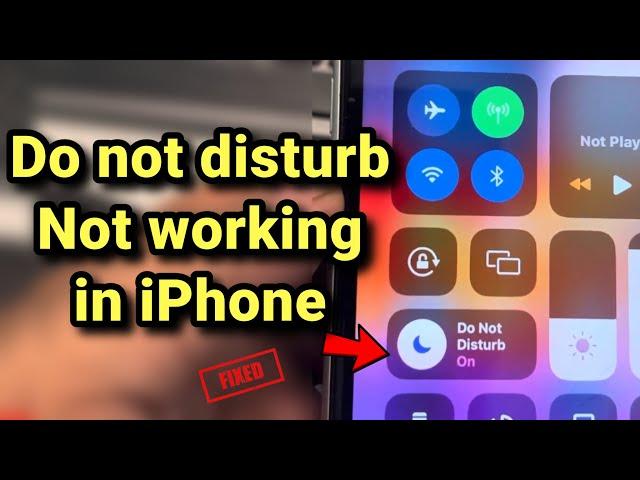 Do not disturb mode is not working on iPhone : Fix