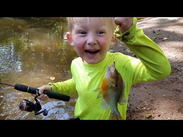 Fishing & Exploring Remote Tiny Creek with my Boys - Fishing for 5 Species