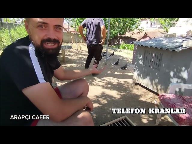 ARAPCI CAFER (TELEFON KRANLAR) 