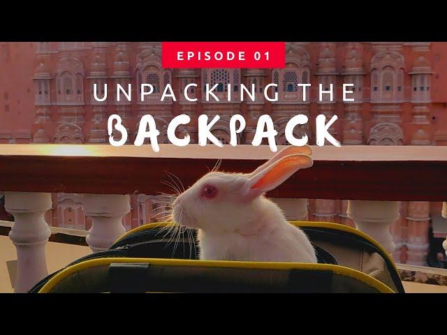 How to travel with your bunny | Bunny travel bag and how to set it right | Bunny lifestyle