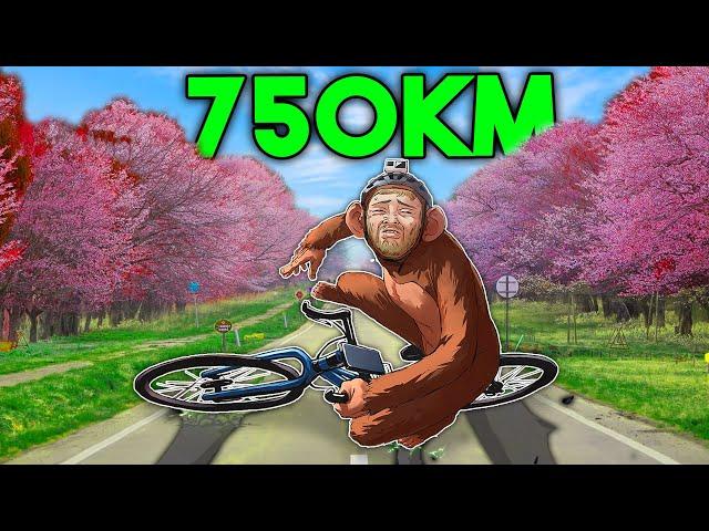 Cycling Through Japans Biggest Island For $320,000