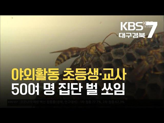 야외활동 초등생·교사 50여 명 집단 벌 쏘임 / KBS  2021.10.13.