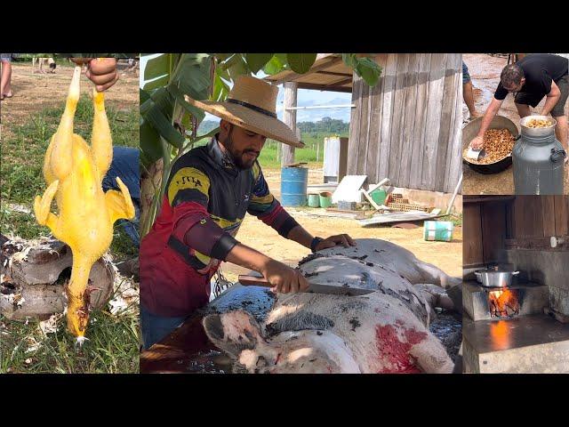 FERIADO NA FAZENDA! TORRESMO, FRANGO CAIPIRA, LEITE… MUITA DIVERSÃO E FARTURA 