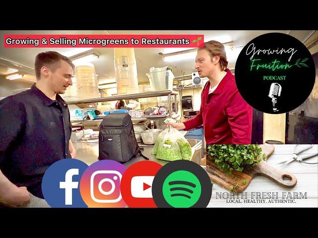 How to Grow & Sell Microgreens: Local Restaurant Delivery Day North Fresh Farm Microgreens Business