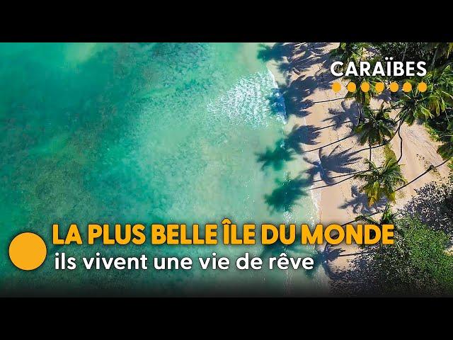 Ces Français quittent tout pour vivre dans les Caraïbes