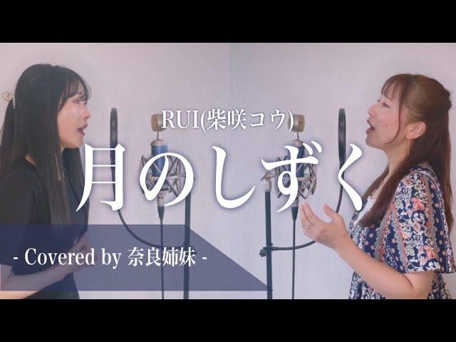 【姉妹でハモる】月のしずく / RUI (柴咲コウ)Covered by 奈良姉妹