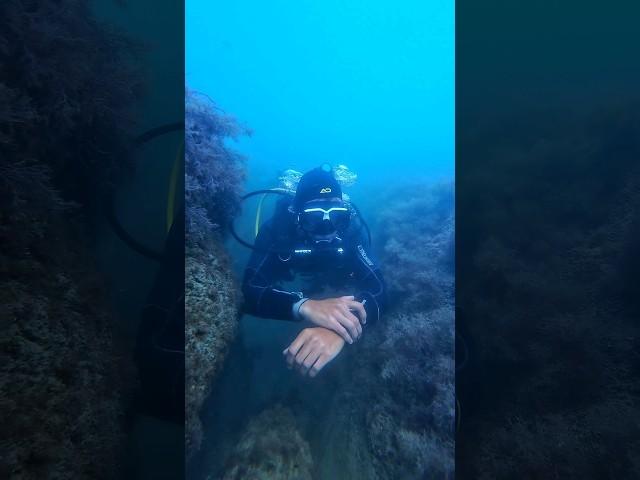 Дышим медленно, глубоко и непрерывно  #aksenovscubadiving #scubadiving #дайвинг