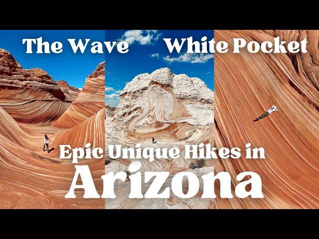 The Hardest Lottery Permits to Hike the Wave! & White Pocket, Lake Powell in Page, Arizona