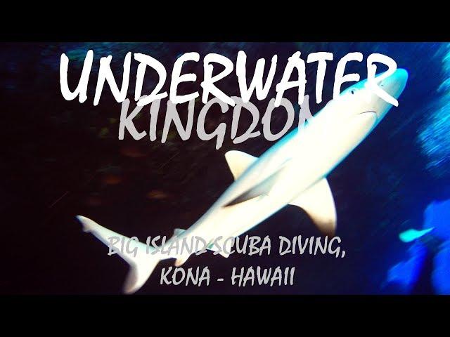 Hawaii Scuba Diving - Kona, Big Island GoPro 4K