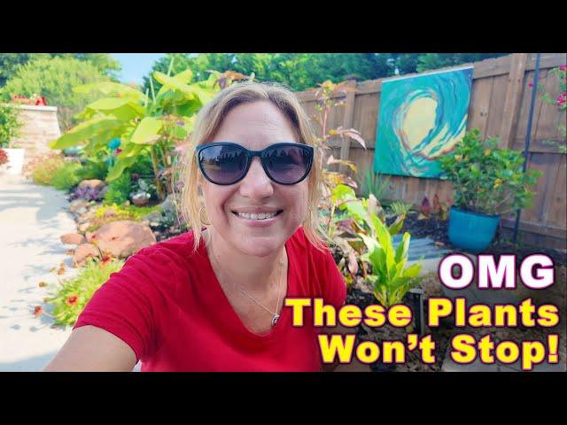 Top 7 Plants That Reseed, Re-root & Multiply | Garden Once, Enjoy Forever!