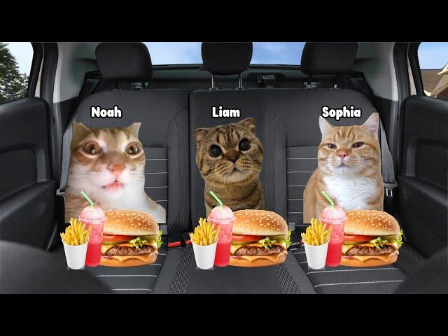 Cats Meme Family Roadtrip to Water Party Part 1