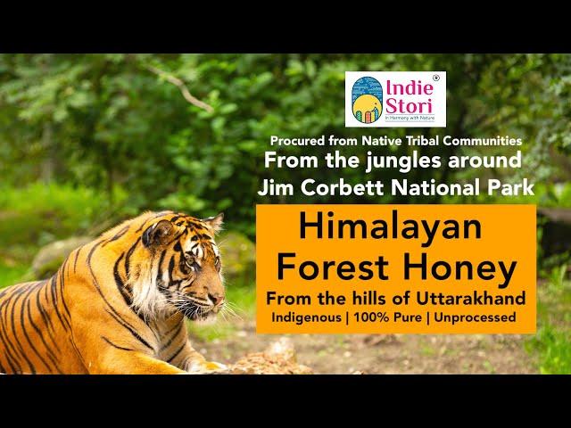 Himalayan Forest Honey - From the jungles around Jim Corbett Park, Uttarakhand #india #food #honey