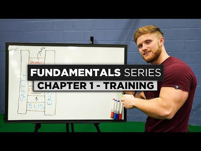 Training Basics & Theory | Chapter 1: The Fundamentals Series