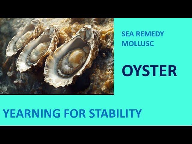 CASE OF OYSTER by INTEGRATED HOMOEOPATHY