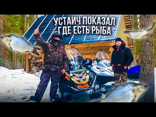 На лесное озеро с Устаичем/Клёв на колбасу/ Подготовили избу к весне.