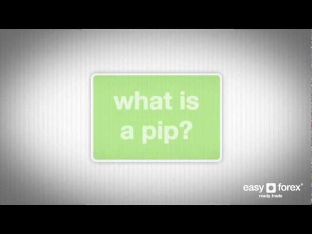 03 - What is a pip? - easyMarkets - Education