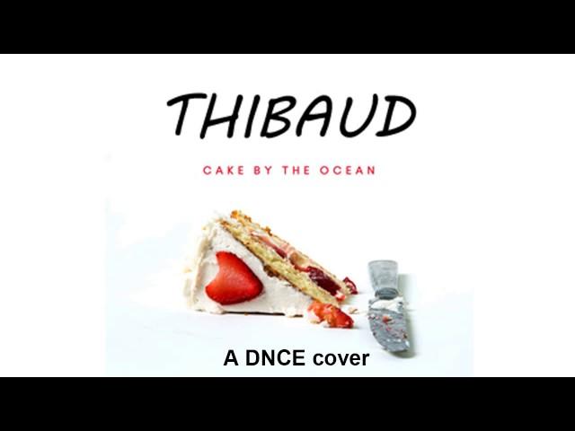 Cake by the Ocean - DNCE cover by Thibaud