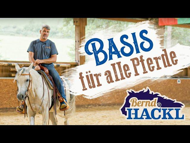 Die Basis für alle Pferde | Bernd Hackl erklärt! 