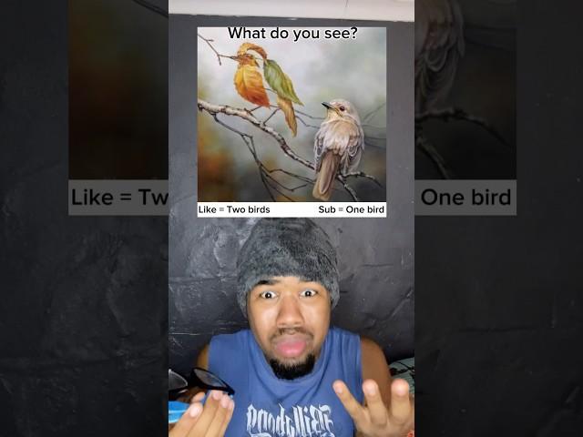 What do you see? #explore #duet #hiphopvibe #subscribe #shortvideos #shorts