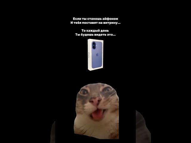 Из личных наблюдений 