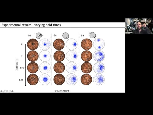 The gas phase of vortex matter