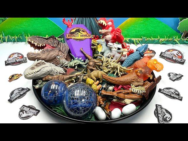 Dinosaur Collection In Black Tray | Dino Egg Skeleton Jurassic World Vehicle 공룡 콜렉션 쥬라기월드