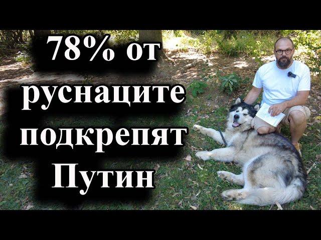 78.2% от руснаците имат доверие в руския президент, а 17% не го харесват 23.08.2024 г.