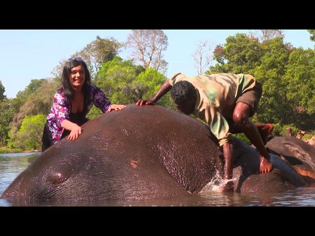 Dubare Elephant Camp Kushalanagar, Coorg | Skyway International Travels