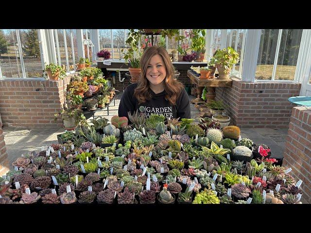 HUGE Succulent Unboxing!  // Garden Answer