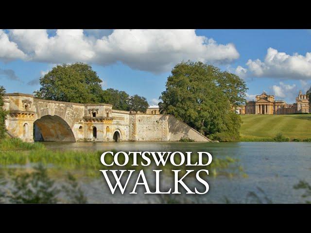 Blenheim Palace & Combe Circular | Beautiful Cotswold Walks