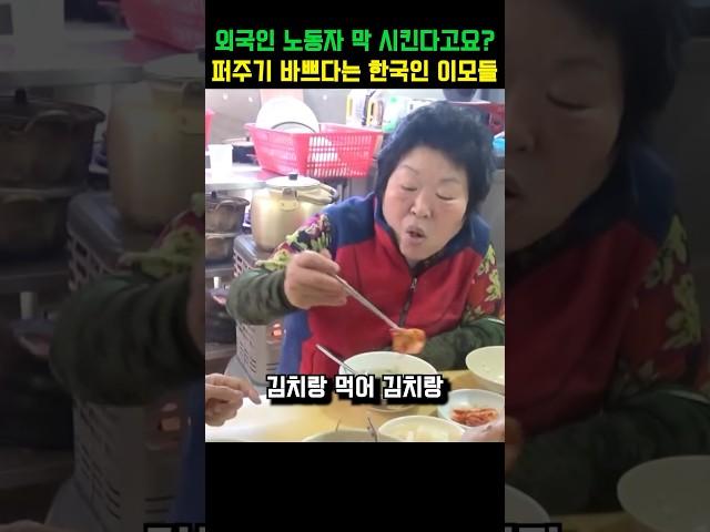 외국인 노동자 막 시킨다고요? 퍼주기 바쁘다는 한국인 이모들