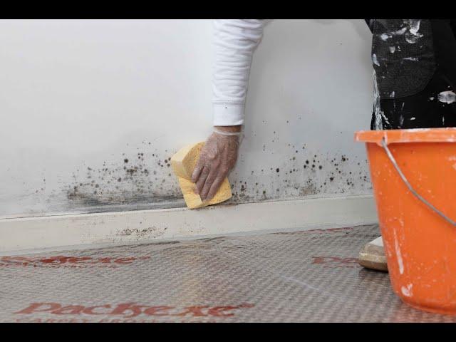 Keeping mould & mildew at bay with Zinsser PermaWhite