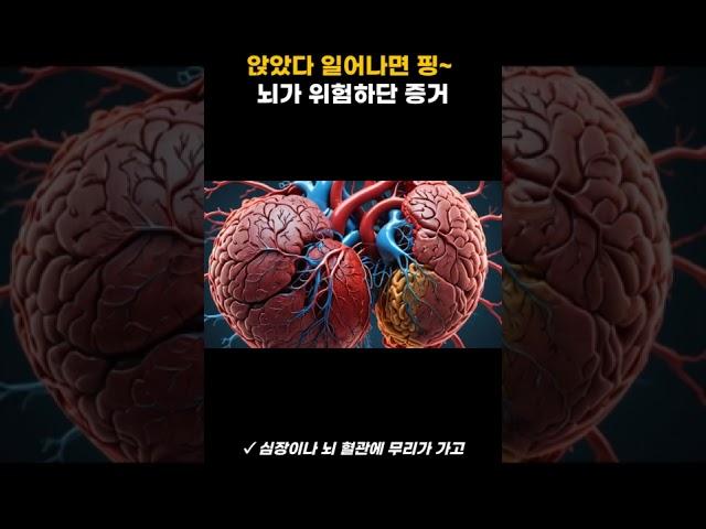앉았다 일어날 때 핑 돈다면 이거 보세요