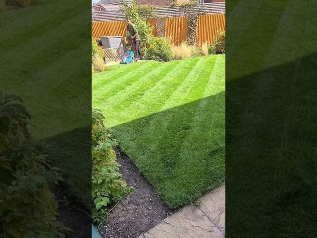 Diagonal Lawn Stripes #lawncare #satisfyingvideo #mowing #lawnmower