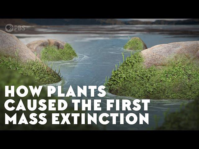 How Plants Caused the First Mass Extinction