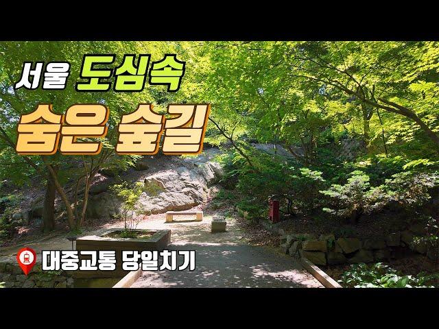 서울 도심 한복판에 숨은 비밀 숲길! | 정릉 숲길, 교수마을 그리고 흥천사 | 지하철 타고가는 트레킹 코스