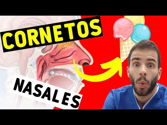  Hipertrofia de CORNETES NASALES  ¿Por qué se inflaman y taponan mi nariz?