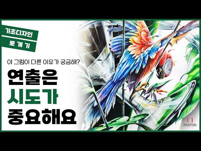 색다른 기초디자인 연출법! 2023 건국대 정시 기출 문제로 배워보자! #펜톤미술학원 #건국대 #건국대기초디자인 #앵무새