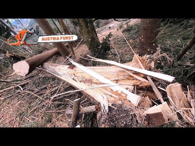 Holzfällen im Sturmholz