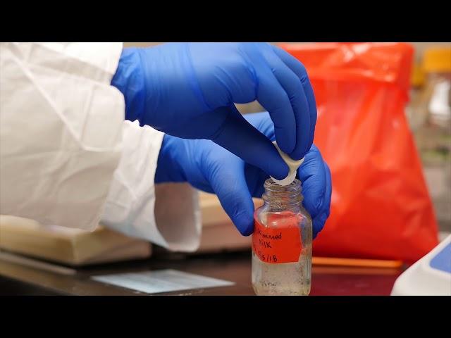 BMFS laboratory protocol - Reagent preparation